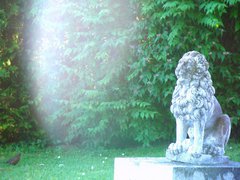 Licherscheinung vor einer Löwenstatue