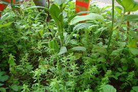 Landart Kunstunterricht für Kinder Berlin Karlshorst 