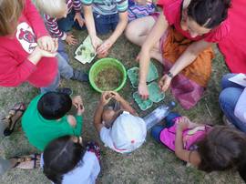 Seedsaver , saatgutbomben, Kunstunterricht für Kinder Berlin Karlshorst 